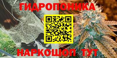 герыч Балаково