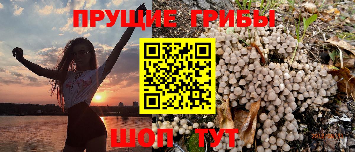 Псилоцибиновые грибы мухоморы  Вход с VPN  Елабуга  Галлюциногенные грибы Cubensis 